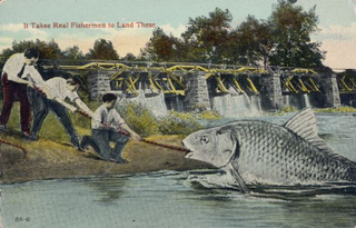 Illustration for article titled Tall Tale Fishing Postcards, The Ultimate Humblebrag Of The Early 1900s